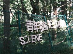 -棒棰岛宾馆景区