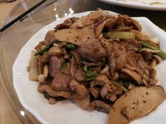 -新松记