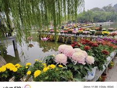 -中国翰园碑林