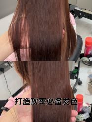 -蚂蚁造型俱乐部