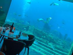 -亚特兰蒂斯•OSSIANO奥西亚诺海底餐厅