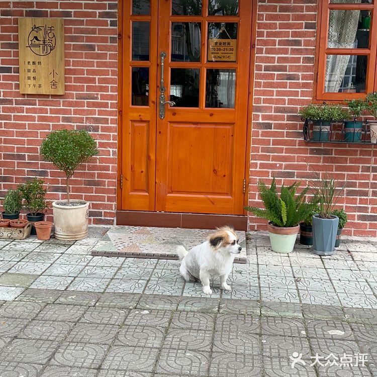 找个“恬静小屋”喝下午茶☕️