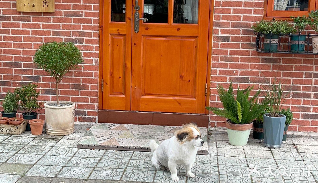 找个“恬静小屋”喝下午茶☕️