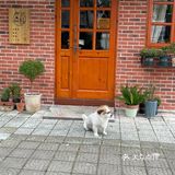 找个“恬静小屋”喝下午茶☕️