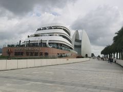 -野狸岛