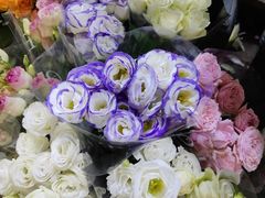 -循礼门鲜花花市(武汉循礼门店)