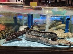 -阿伟海鲜楼·福建菜(延寿店)
