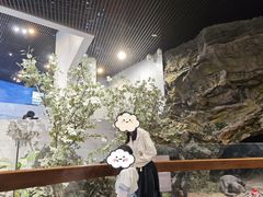 -北京周口店北京人遗址博物馆
