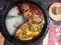 -蜀大侠火锅(森兰花园城店)