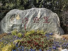 -诗经里