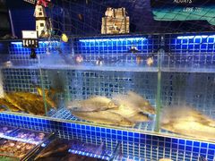 -必点海鲜·鲅鱼水饺(鞍山西道店)