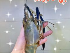 -阳澄湖半岛旅游度假区