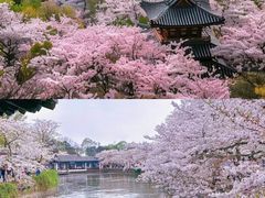 -无锡动物园·太湖欢乐园