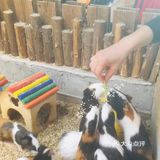 138元耗时一整天，太划算啦