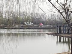 -东郊湿地公园