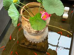 -单家老院·院子里的青岛菜(沙子口店)