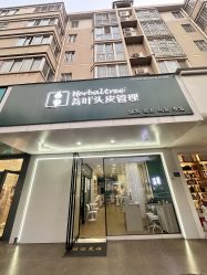 -菩叶脱发白发中心