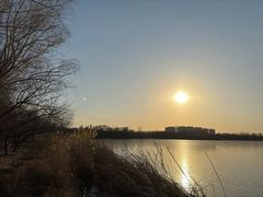 -大兴滨河森林公园