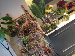 -植物学家的女儿(北马道巷店)