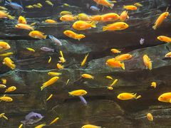 -多彩贵州城极地海洋世界