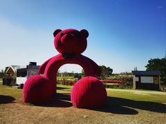 -嘉北郊野公园