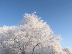 -雾凇岛