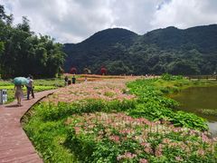 -广州市石门国家森林公园
