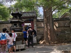 -青岛崂山太清宫