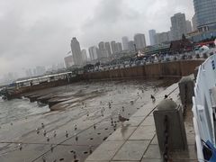 -星海广场