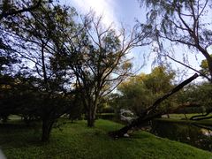 -上海共青森林公园