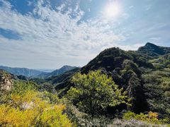 -大岭沟猕猴桃谷风景区