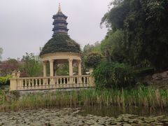 -重庆园博园