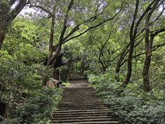 -宁波市保国寺古建筑博物馆