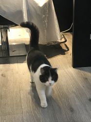 -塞巴斯汀SEBASTIAN专业美发店