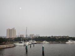 -养马岛旅游度假区