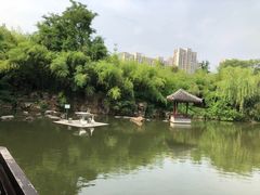 -水绘园