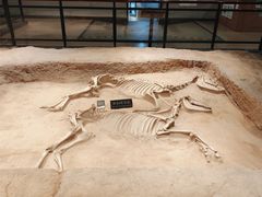 -洛阳周王城天子驾六博物馆