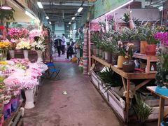 -花鸟鱼虫鲜花绿植市场(玉泉路店)