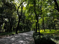 -杭州植物园