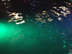 -宝丽金大酒店·洗浴中心