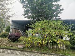 -新月餐厅(北街店)