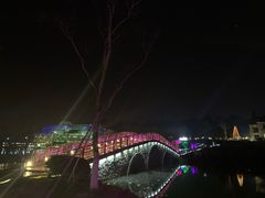 -大塘金香草谷