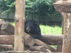 -海南热带野生动植物园