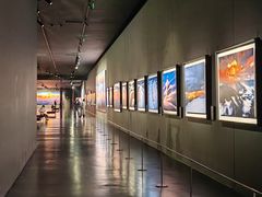 -罗红摄影艺术馆