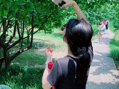 -长兴太湖图影湿地文化园