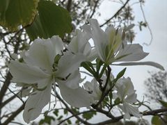-人民广场