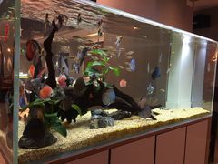 -黄鱼炙夜(华家池店)