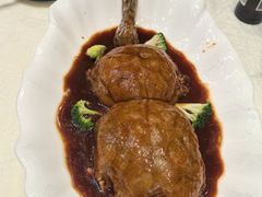 -丁老爷子苏香圆