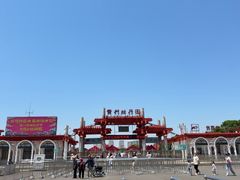 -曹州牡丹园