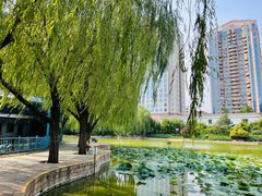 -团结湖公园